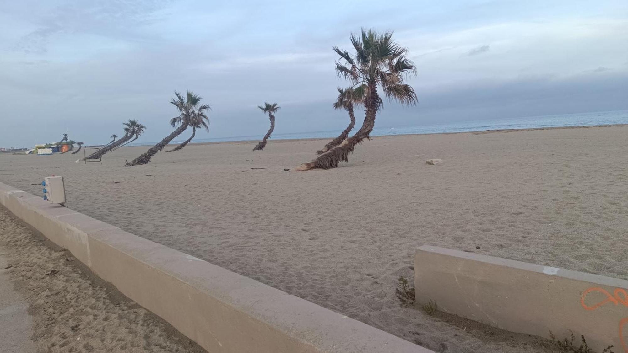 Les 2 Dauphins Appartement Le Barcarès Buitenkant foto